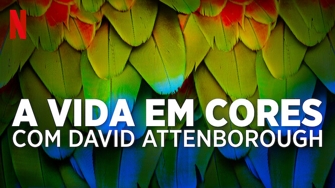 A Vida em Cores com David Attenborough